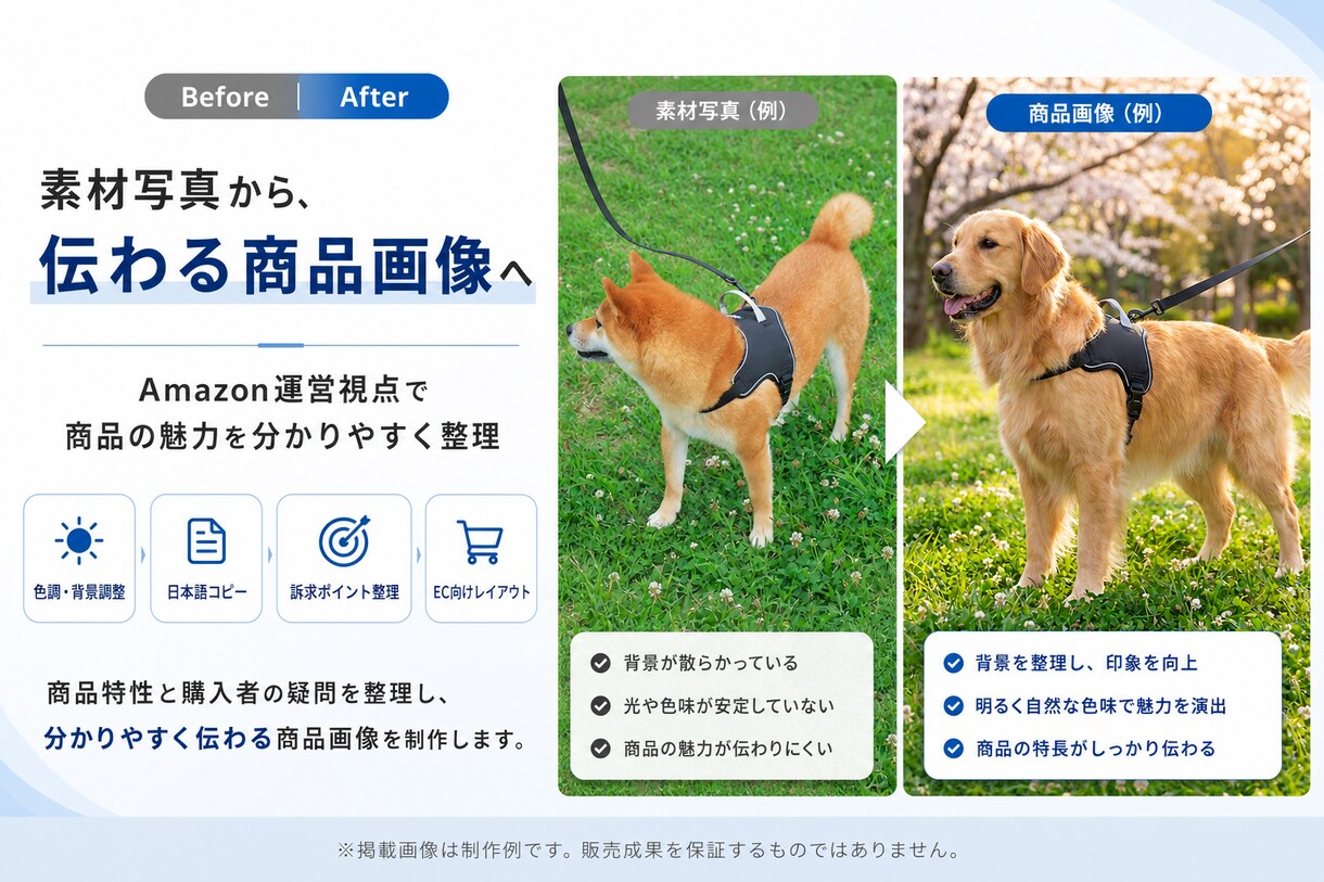 Amazon・楽天・SNS商品画像を制作します 日本市場向けの商品画像を制作します イメージ3