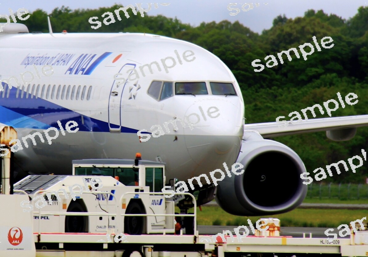 飛行機を撮影します 1年間に数千枚の撮影を行っております。 イメージ3
