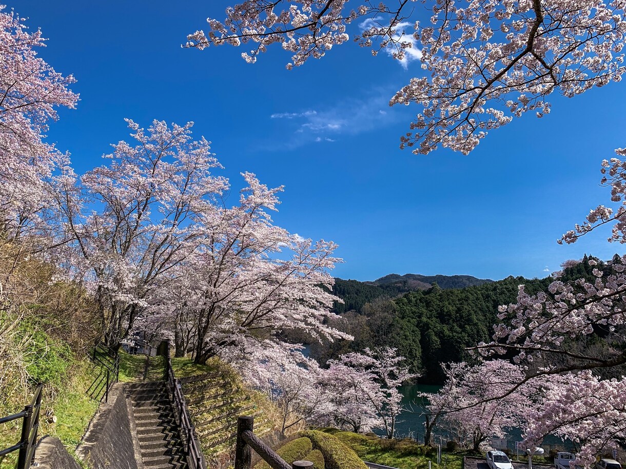写真を綺麗に加工します 人の肌や思い出の一枚をより綺麗に仕上げ、不要物の除去なども。 イメージ2