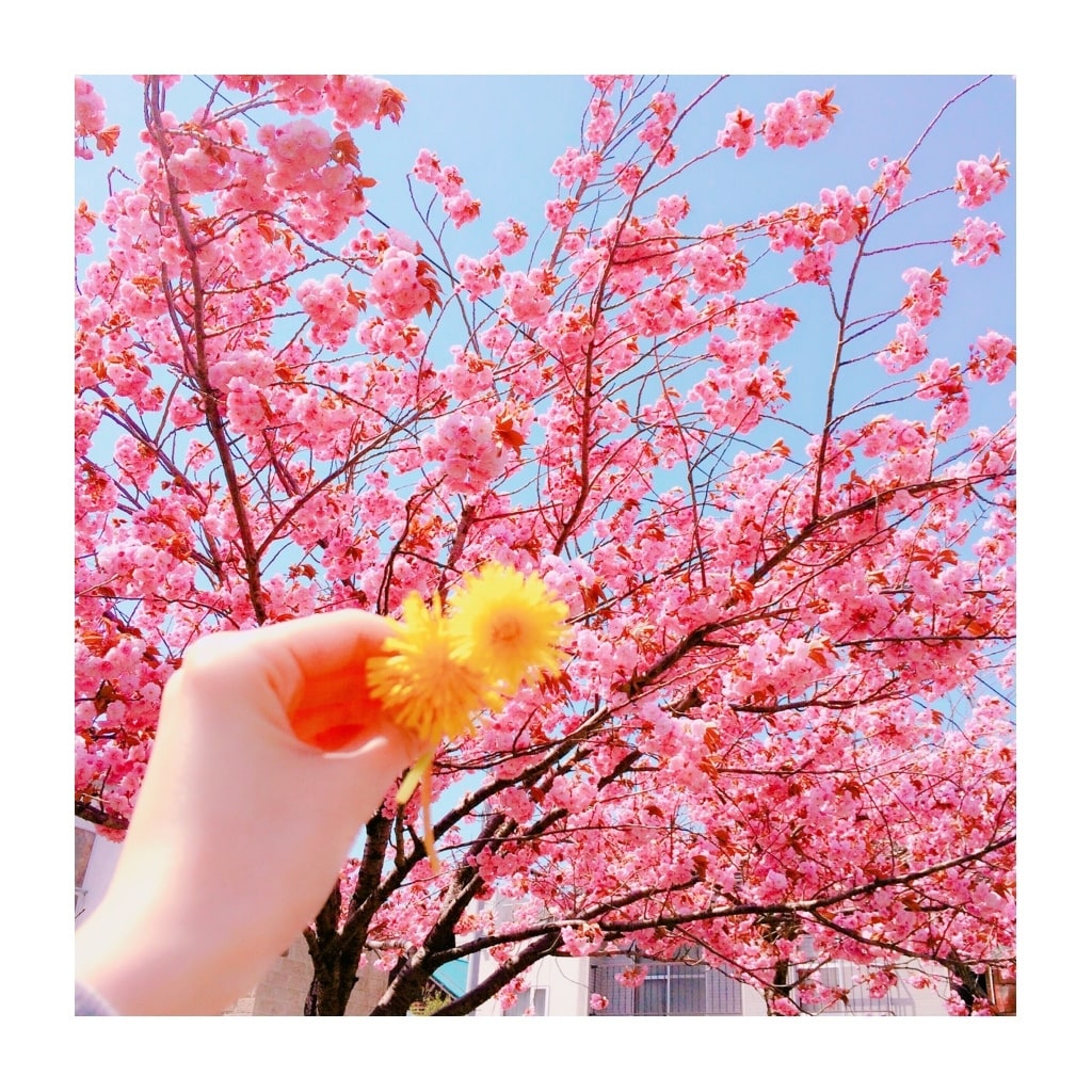 あなたにとっての癒しになります なんでも吐き出せる存在がほしい方、私に話してみませんか？ イメージ1
