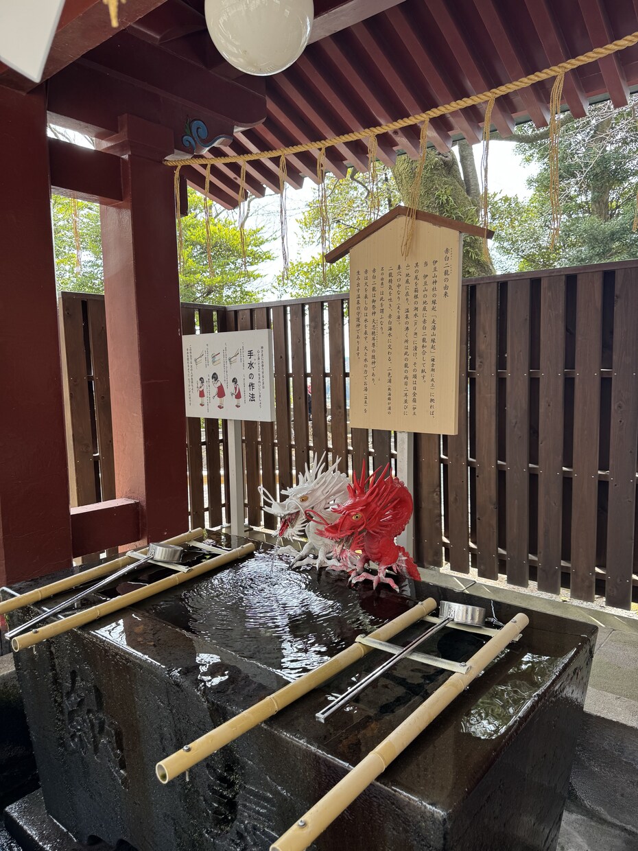あなたの本音と進む道を読み解きます 鑑定実績 800名以上 | 恋愛・人間関係が得意 イメージ2