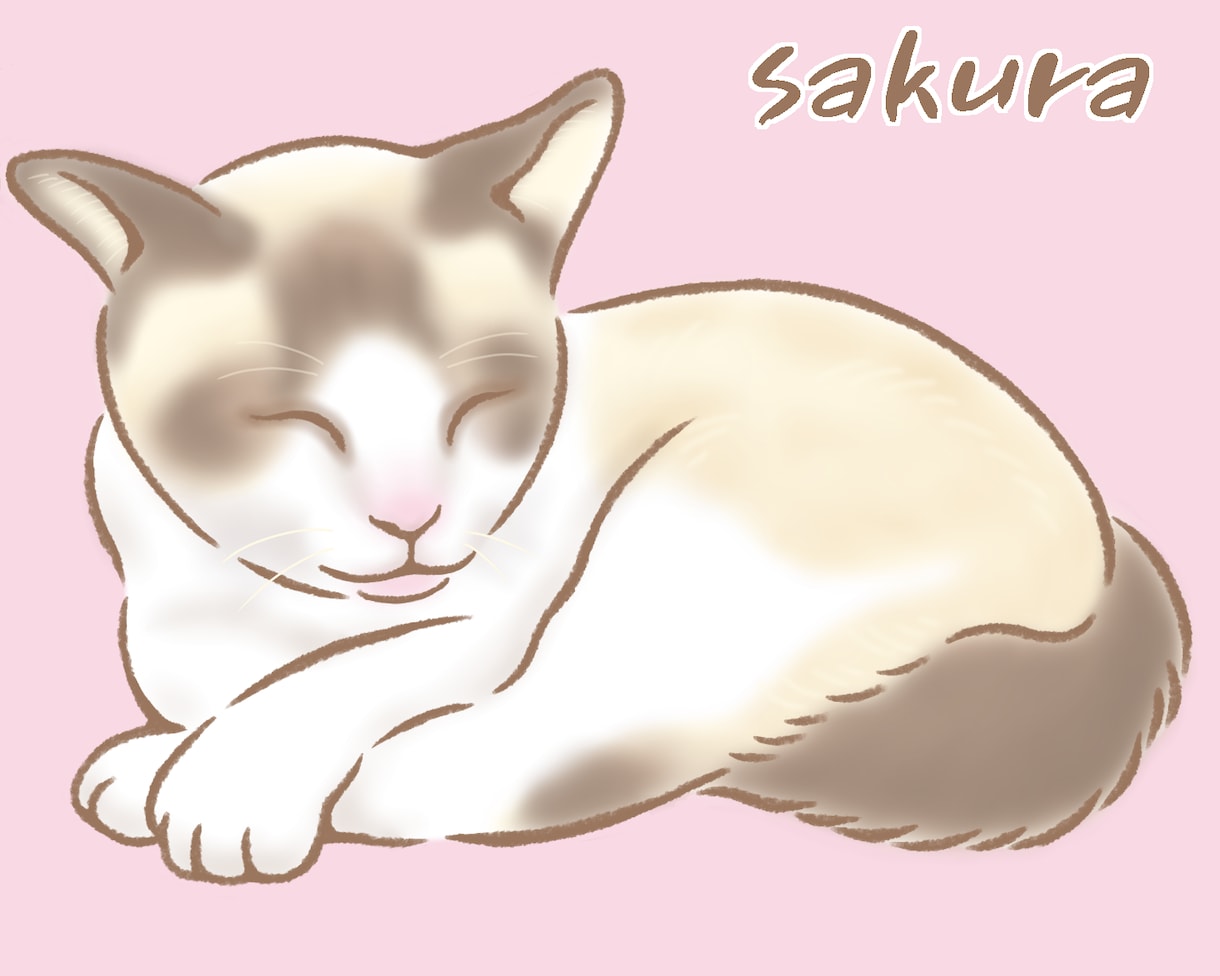 愛しているペットを心を込めて描かせていただきます ☆漫画家の技術を駆使し、イラストタッチで描きます☆ イメージ4