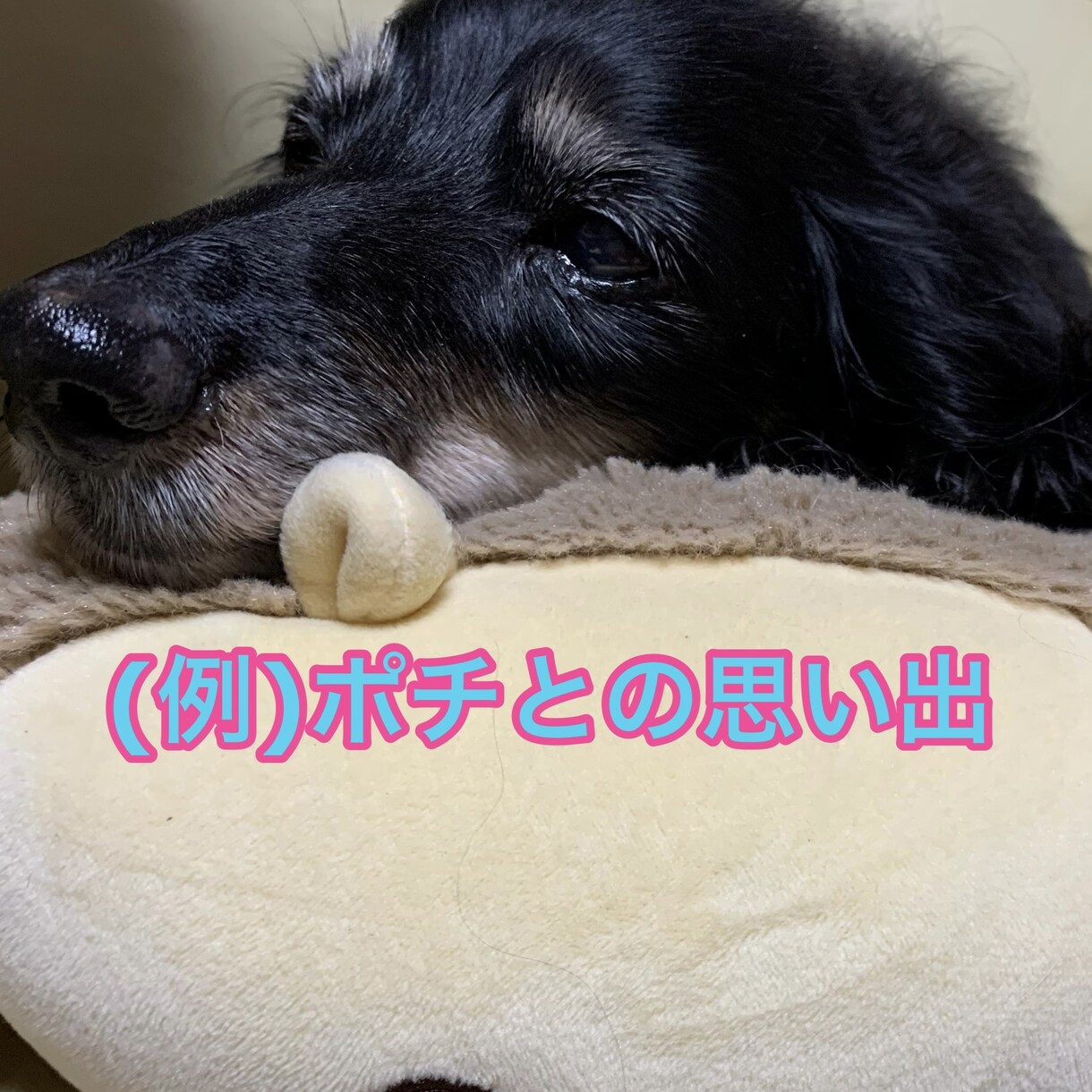 旅行の写真やムービーを一本の動画にまとめます 色々な思い出を一本の動画にまとめます! イメージ1