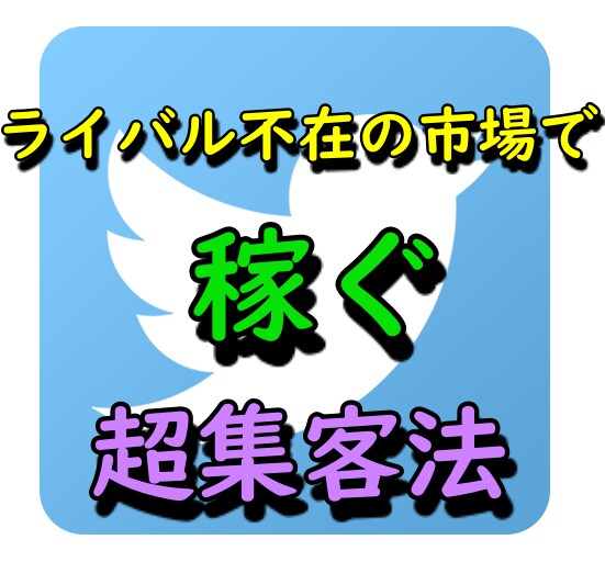 Twitterの稼げるフォロワーの見つけ方教えます 無意味な薄いフォロワーばかり増やしていませんか？ イメージ1