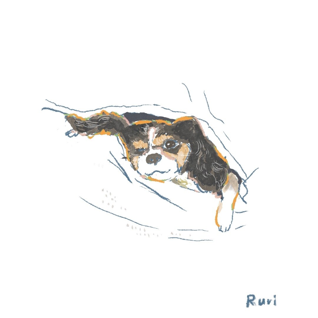 ゆるいタッチで大切なペットのイラスト描きます 大事なペットのイラストを、心を込めて描きます！ イメージ5