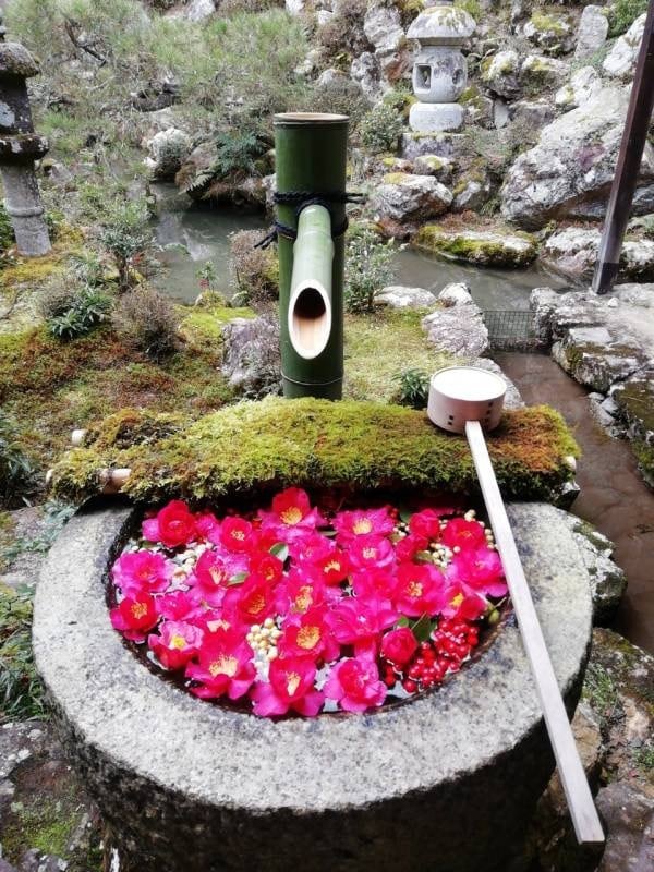 貴方のお悩み、占い、開運致します 転職、引っ越し、起業、結婚、受験 ...