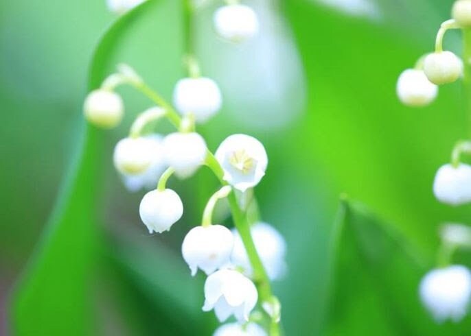 5分でもお話し聞きます 誰か話した〜い　聞いて〜聞いて〜　教えたい〜　わかって〜 イメージ4