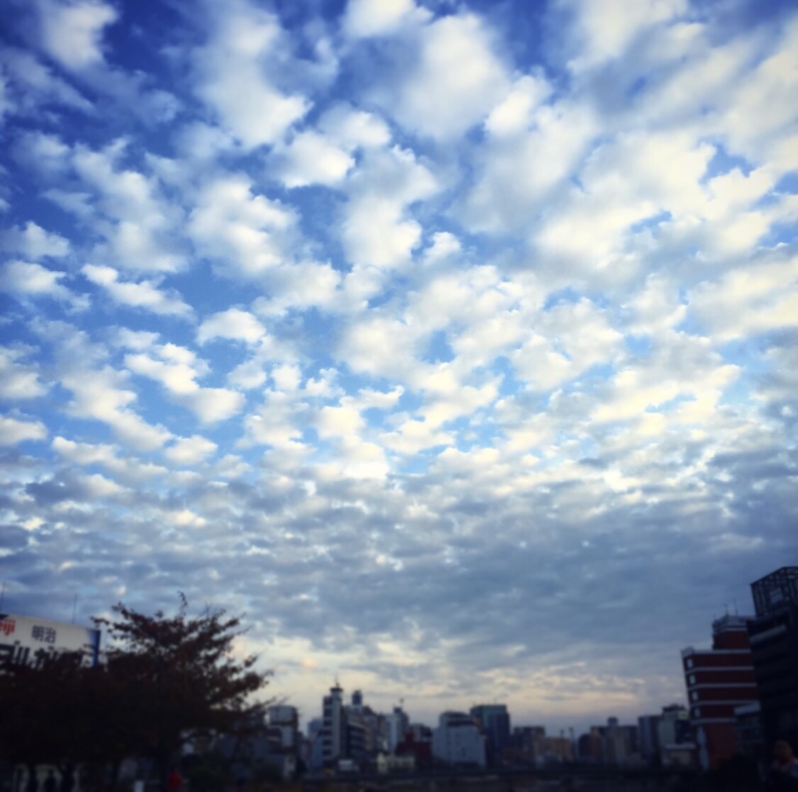 すっきりしましょ。どんなお話でも優しく聞きます 人生相談。浮気。男女問題。愚痴。寂しい人。秘密厳守します！ イメージ7