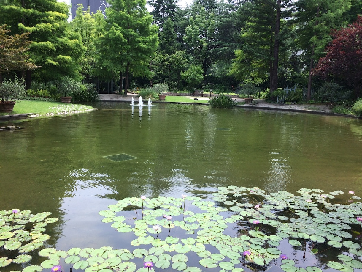 誰にも言えない愚痴やお悩みをお聞きします 抱えている不平不満やお悩みなどなんでもお聞きします。 イメージ1