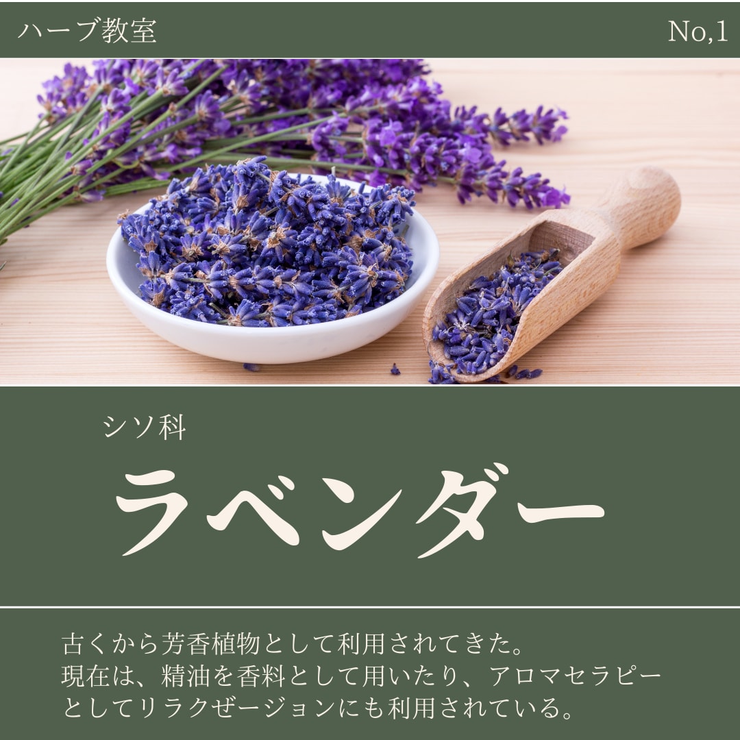 SNSの投稿・広告投稿用画像作成します アイキャッチな動くサムネイルも作成可能！ イメージ5