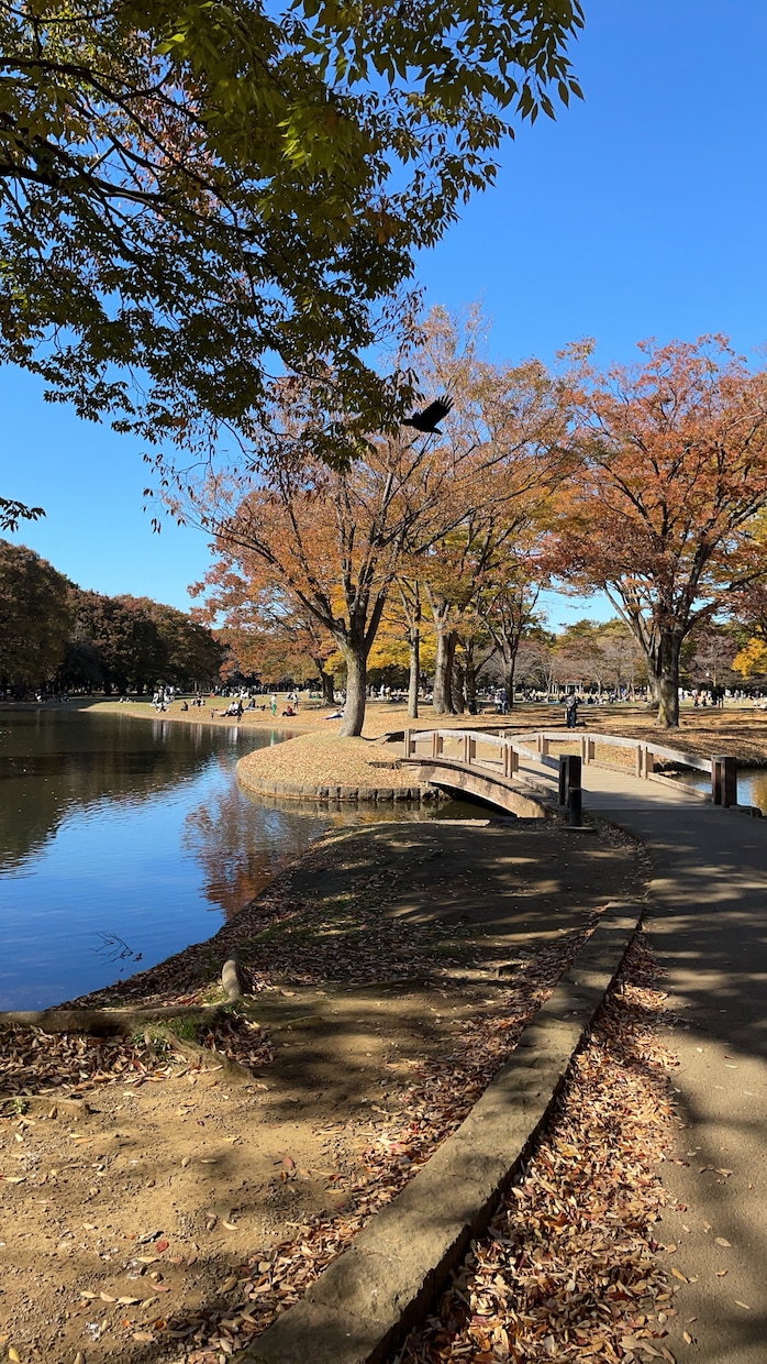 旅行業界の現状を教えます 旅行業界について知りたい方はご連絡下さい。 イメージ1