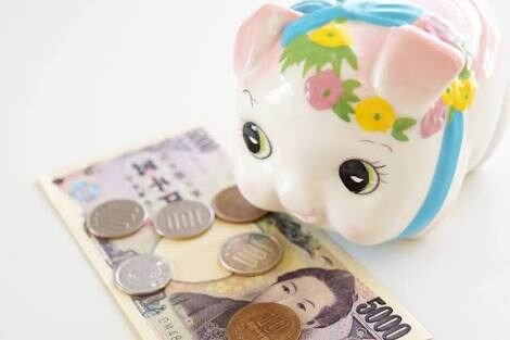 お金を貯めたい綺麗に使う方法を教えます お金が貯まらない。そんなあなたに。必見！！！！ イメージ1