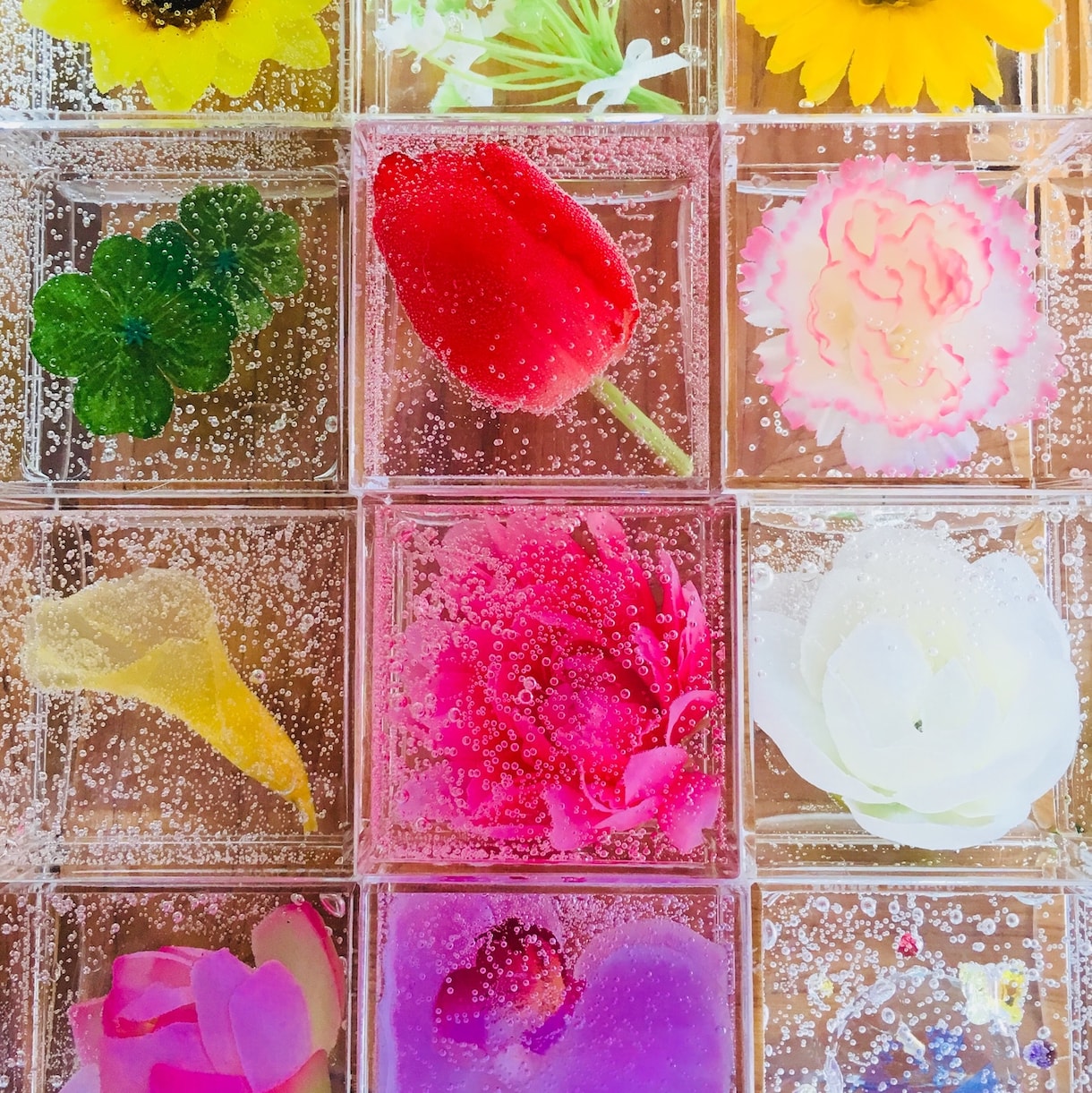 人生迷走中のあなたへ誕生花からのヒントお伝えします 生年月日から導かれたお花から心を元気にしてくれるメッセージ♡ イメージ1
