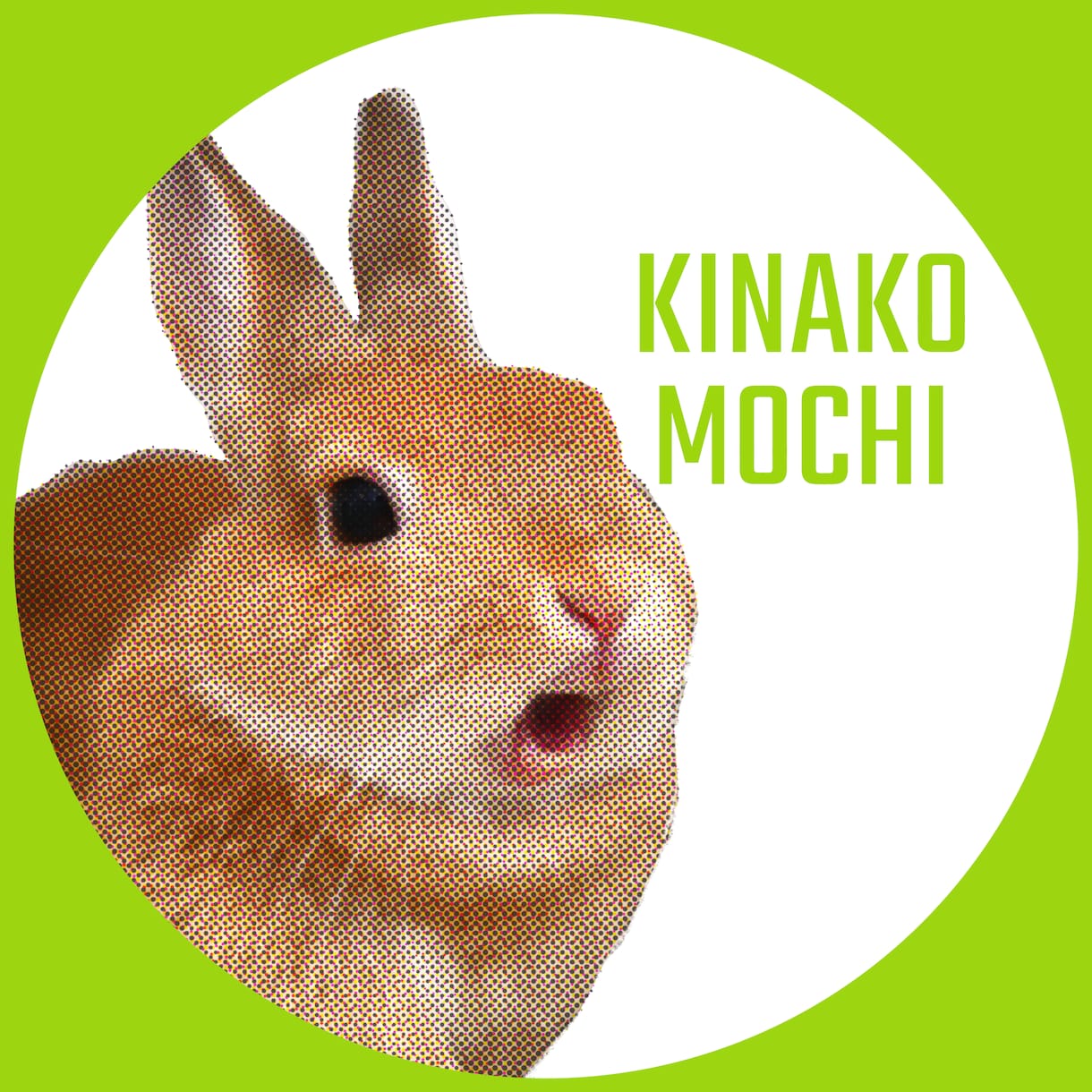 お写真からポップアート風アイコンを制作いたします 動物も人もOK！使いやすくおしゃれなシンプル丸アイコンに◎ イメージ1