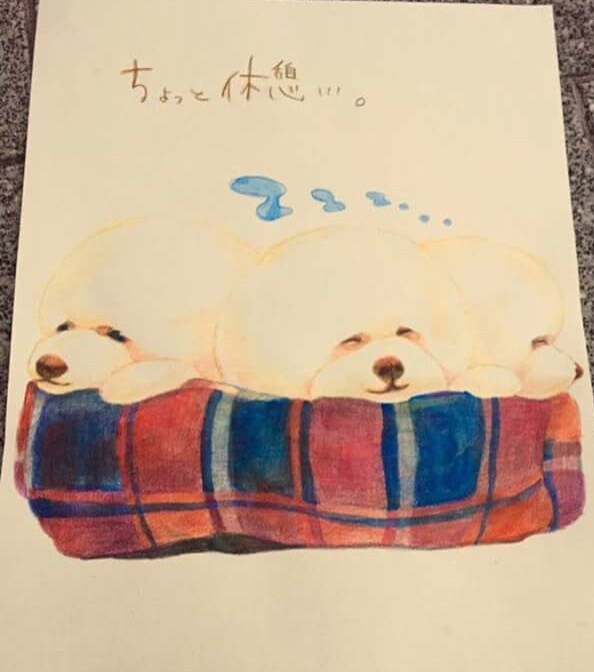 にゃんこわんこの似顔絵かきます ポスターや、記念にどうでしょうか♪ イメージ3