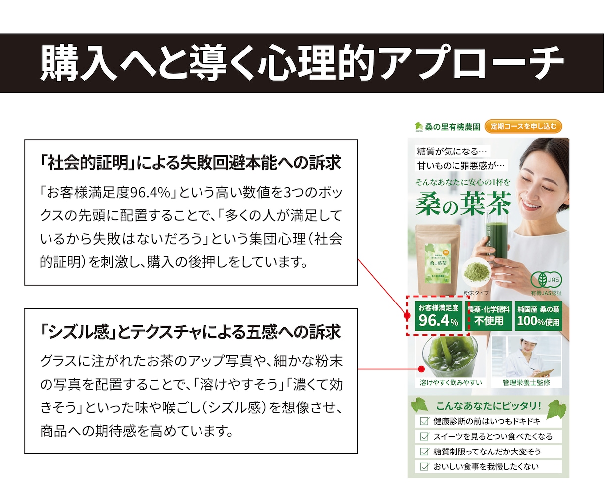 広告バナー付｜販促歴20年のプロがLP作成します 「売れる見せ方」を設計。構成から納品まで一律価格でご提供。 イメージ6