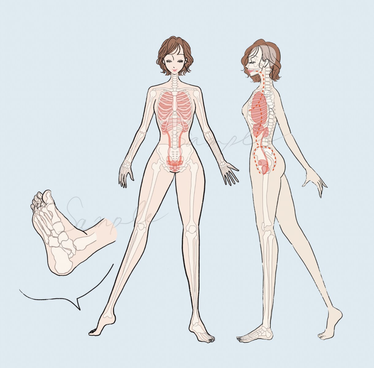 お洒落だけど分かりやすく伝わる挿絵を描きます 落ち着いた可愛さで、大切な情報を邪魔せず華を添えます。 イメージ3