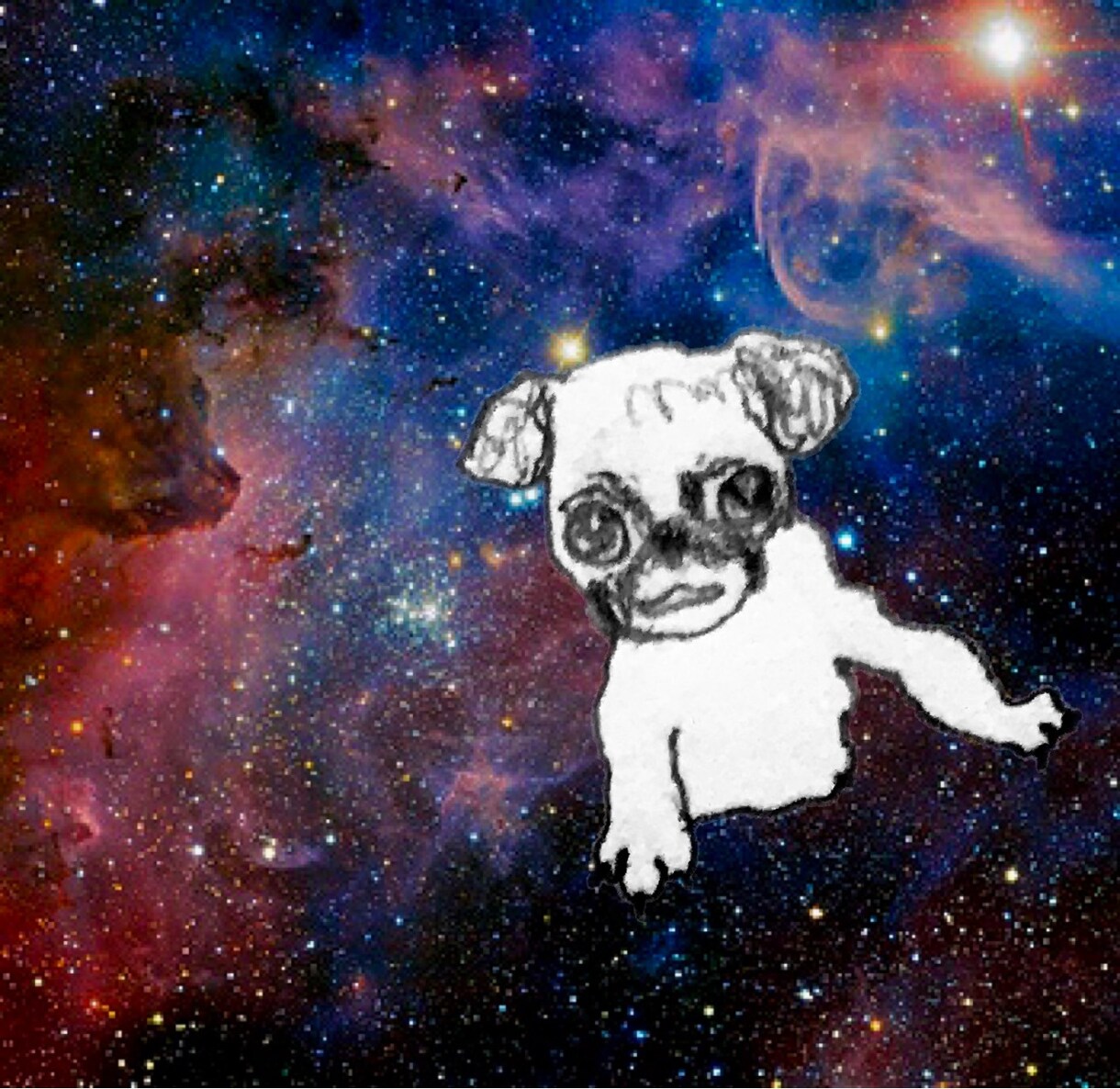 ペットのワンちゃんイラスト描きます 【犬限定】✰︎あなたのワンちゃんを宇宙に浮かばせませんか✰︎ イメージ10
