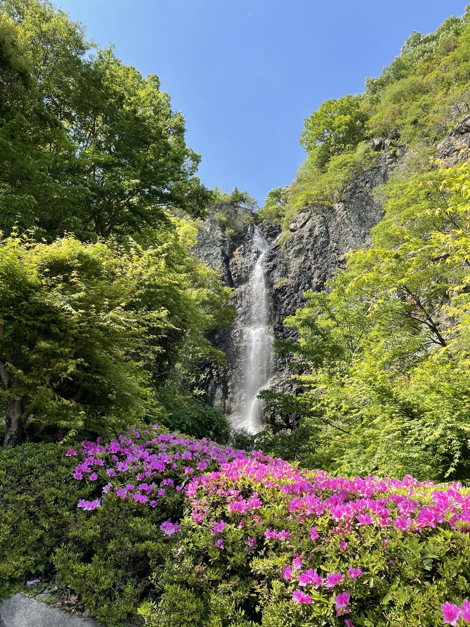 今日と明日運勢占います どうなんだろ？って思ったらお気軽に！ イメージ1