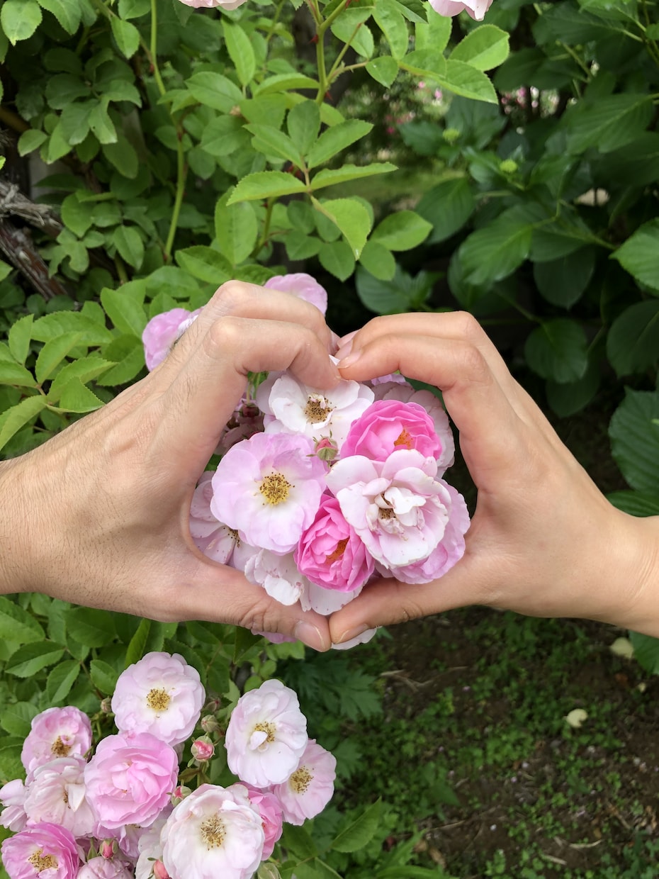 国際結婚相談にのります 国際結婚して3年目に入る私が相談にのります。 イメージ1
