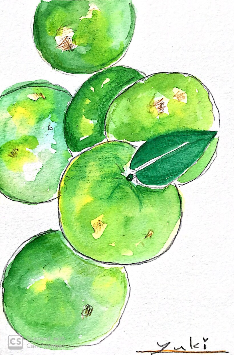 野菜、果物の水彩イラストを描きます 味のある手書きイラストを描きます。原稿を納入します。 イメージ1
