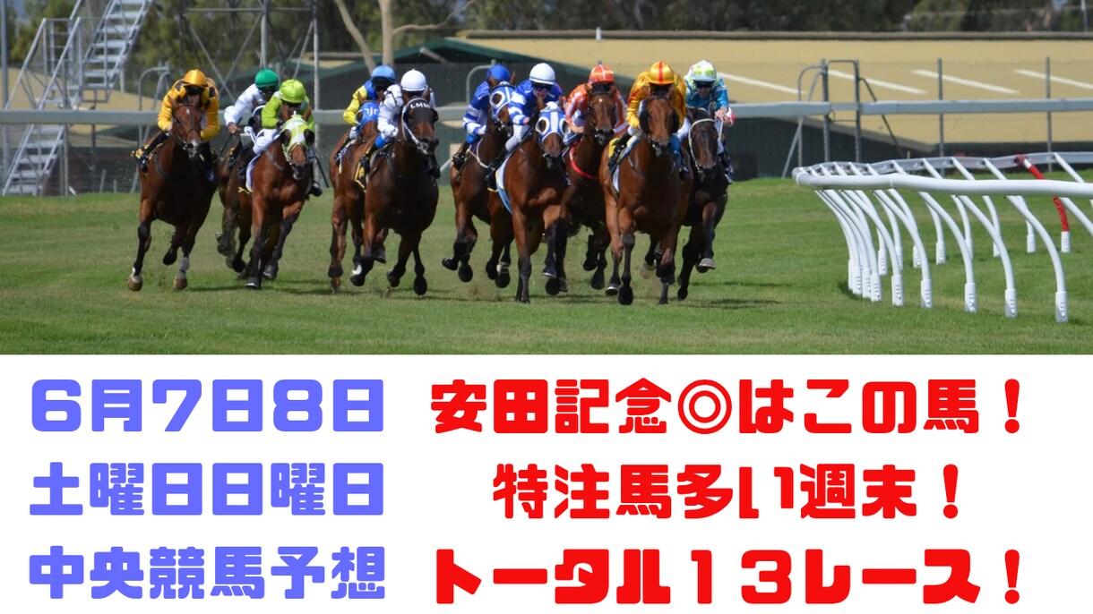土日中央競馬！勝負の１３レース予想します 特注馬多し今週！安田記念はこの馬！土日特別戦から重賞レース！ イメージ1
