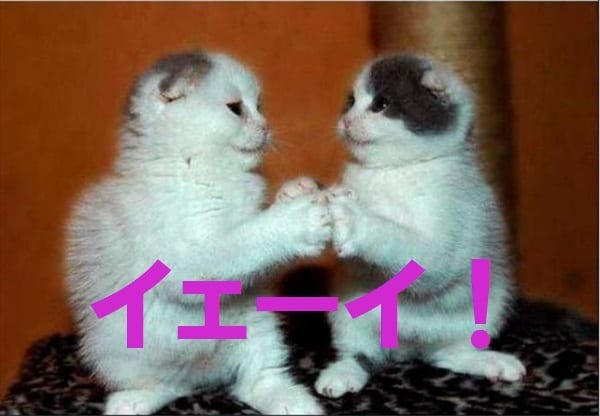 逆上がり天才！当クラブ成功率98%スキーム教えます ネットに載ってない！ことば☆イメージ☆納得☆ネオ逆上がり方法 イメージ2