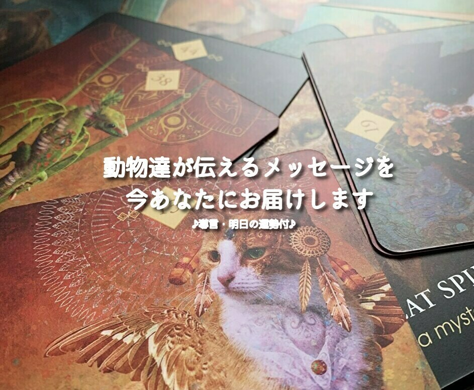動物達が伝えるメッセージを、今あなたにお届けします →"今"と"これから"へのメッセージ♪導言・明日の運勢付♪ イメージ1
