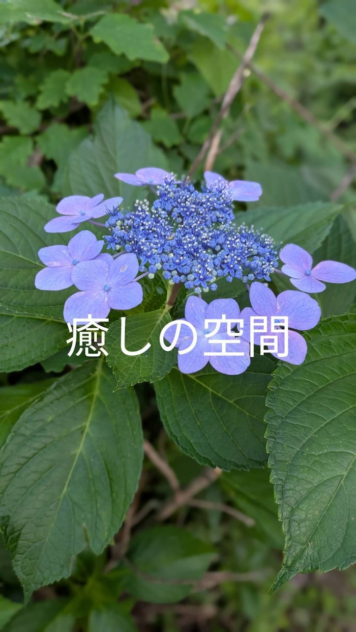 ホッと一息☆雑談、愚痴、相談何でも聞きます 誰にも言えない話も…寄り添ってあなたの心を軽くする　傾聴 イメージ3