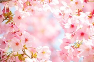 あなたがお相手と出会った意味は？ズバリお伝えします 24h以内鑑定可☆ふたりが出会った本当の理由をサクッと鑑定！ イメージ1