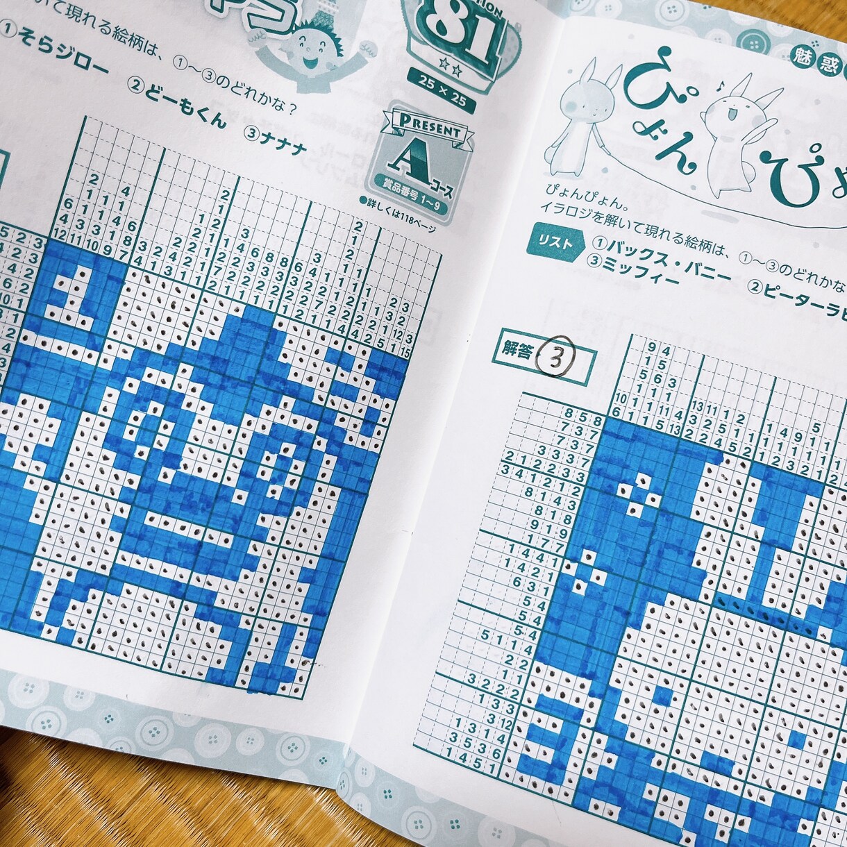 イラストロジック【３０×３０マスまで】私が解きます ねこの手も借りたい！！量が解ききれない！ロジックわからない！ イメージ5