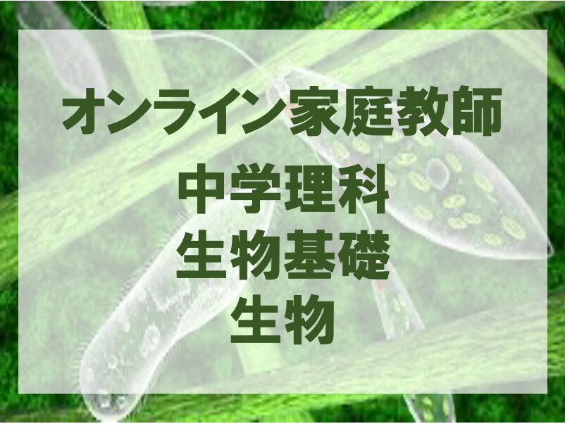 国立大修士卒が生物・理科の疑問を1時間で解決します テスト直前や受験も安心！ピンポイントな質問に答えます。 イメージ1