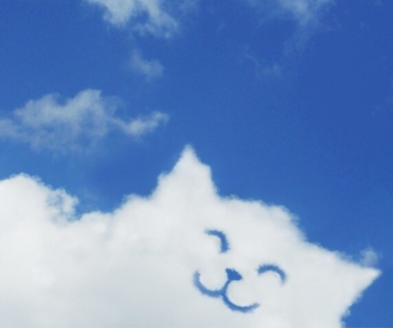 あなたのお話なんでも聞きます 癒しが必要なあなたへ　楽しくお話しましょ♪ イメージ8