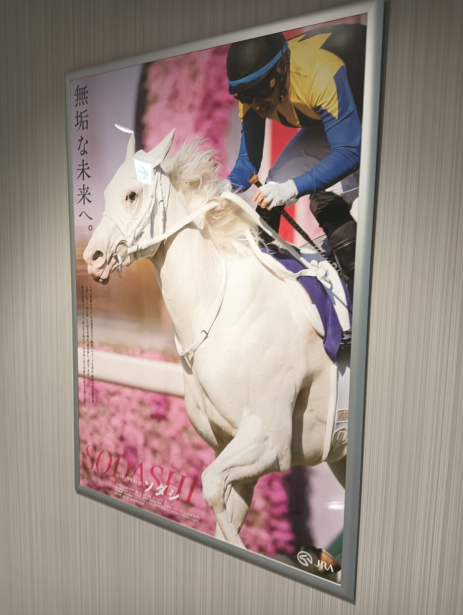 手堅く稼ぐ！中央競馬の予想を提供致します 堅実に的中率重視で最大2000円で競馬を楽しむ イメージ1