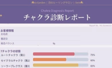 Serenaのオーラ＆チャクラ診断書をお届けします 診断結果をPDFでお届けします イメージ4