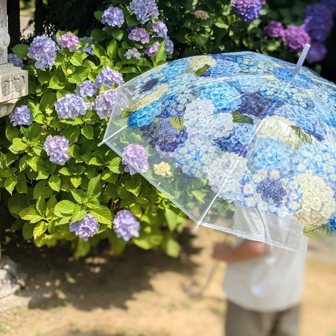 5分からでも！◎子育ての愚痴やママ友の悩み聞きます 聞いて～！プロじゃないから気軽に話せます◎ イメージ2