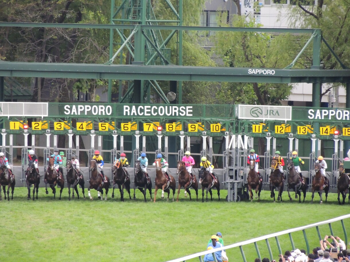 馬の獣医師が競走馬の馬体(能力)診断をします 競走馬の購入に迷われる方に、専門の獣医師がアドバイスをします イメージ1