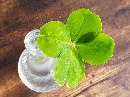 子宝に恵まれる時期を具体的にお伝えします あなたへ授かるご縁の時期を「○年△月」までお伝えします イメージ2