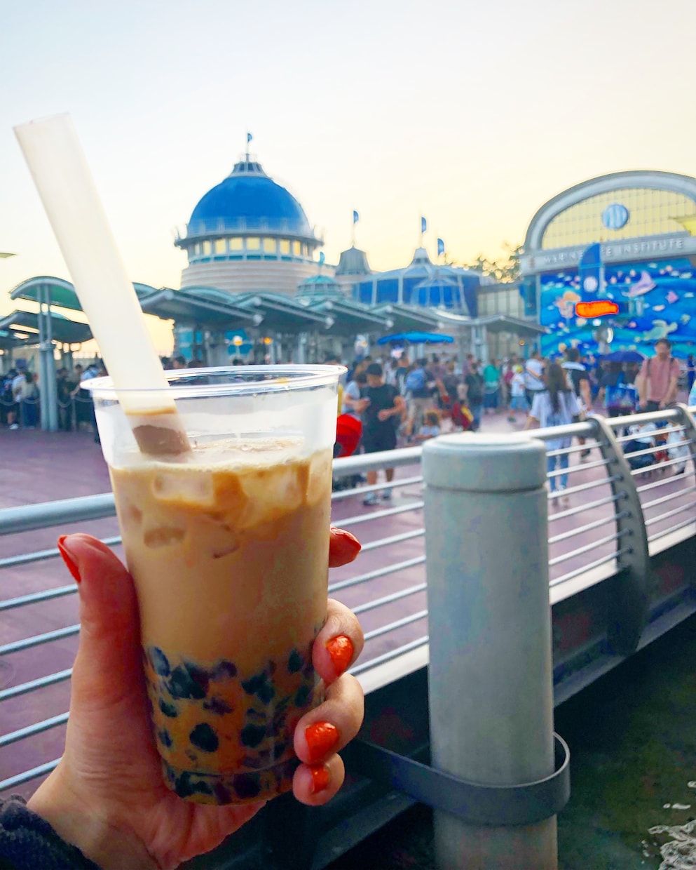 遠方からの東京ディズニーリゾート満喫プラン考えます 遠方組の私だからこそお伝えしたい…！ イメージ6