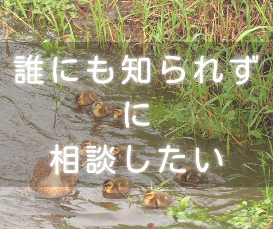 羊水検査を受けた経験があります 羊水検査を受ける決断が出来ず、話し相手が欲しい方へ イメージ5