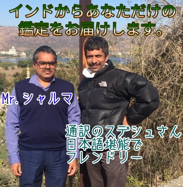 インドからMrシャルマによる鑑定結果をお送りします 財界人の顧客を多数持つMr.シャルマのインド占星術 イメージ2