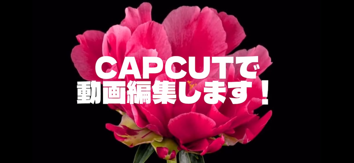 動画編集をします 動画編集が苦手な方のお手伝いができればと思います。 イメージ1