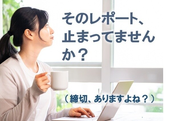 学芸員資格課程のレポート作成のご相談をお受けします 博物館概論・経営論のベテラン講師が、課題内容の疑問を解決 イメージ1