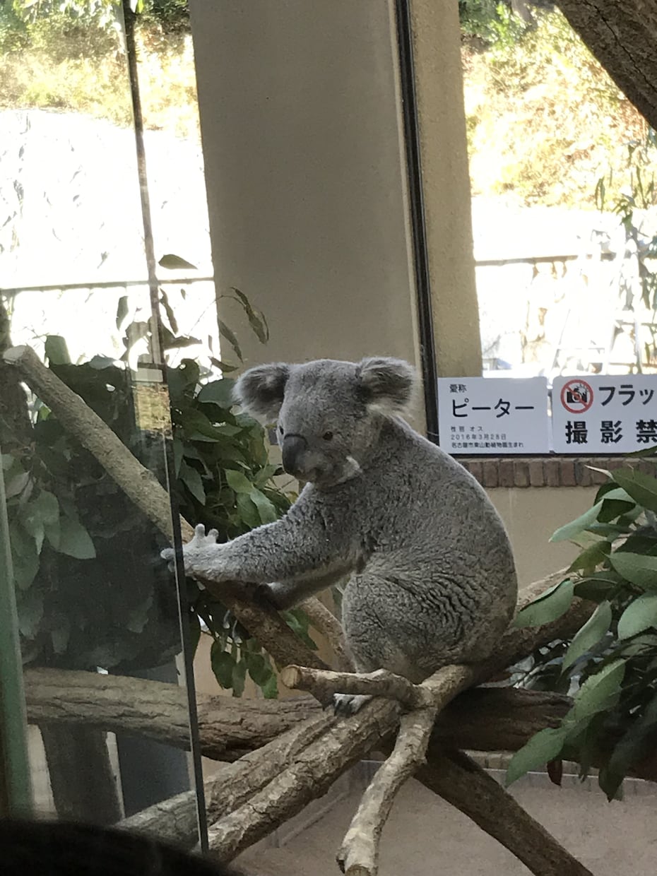 今から未来へ！自己肯定感高めます 不安・あがり・うつ・心配性・人見知り・パニックでお悩みの方へ イメージ2