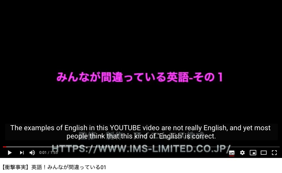 Youtubeに外国語の字幕を掲載します ユーチューブの外国語の字幕制作の実績多数。 イメージ1
