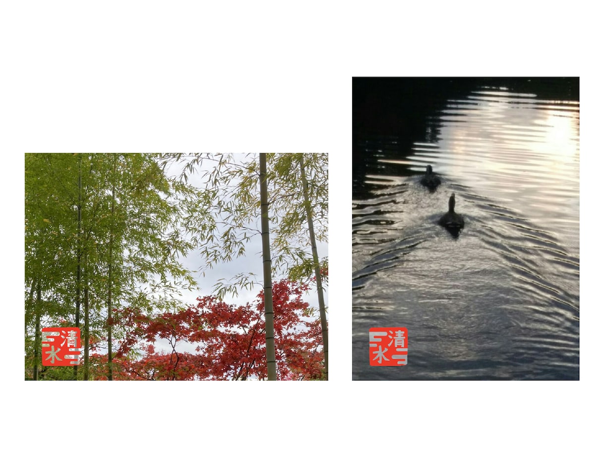 SNSで使えるデジタルはんこ作ります 写真に、自分だけのはんこを押してオリジナリティーを出そう イメージ6