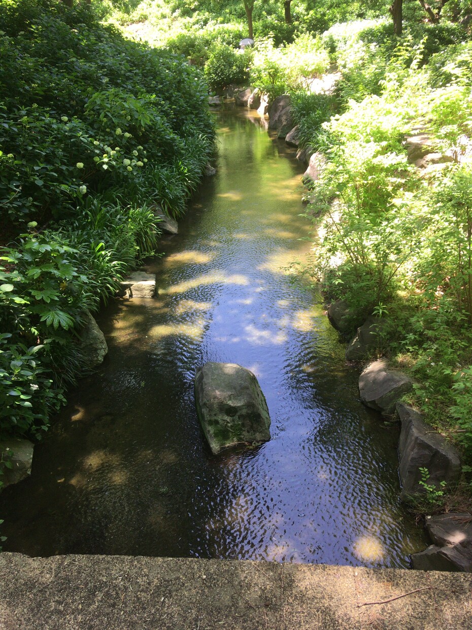 あなたの話し相手になります ・気軽に話せる相手がほしい方・聞いてほしい話がある方 イメージ2