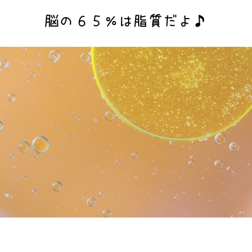 アトピーの人が知りたい油の影響と選び方を教えます 細胞が元気になる一生もののオイルと食とからだの知識１ イメージ2