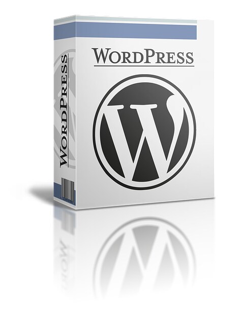 簡易的なWPでのHP作成やWPへの移行をいたします 現在AdSenseやアフィリエイト等でHPの運営をしてます イメージ3