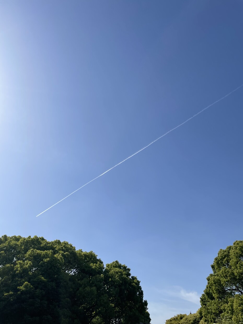 誰にも話せない恋愛の悩み、全部聞きます 話すだけでも大丈夫。あなたのモヤモヤを受け止めます。 イメージ1